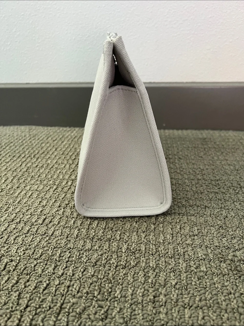Dior structured canvas